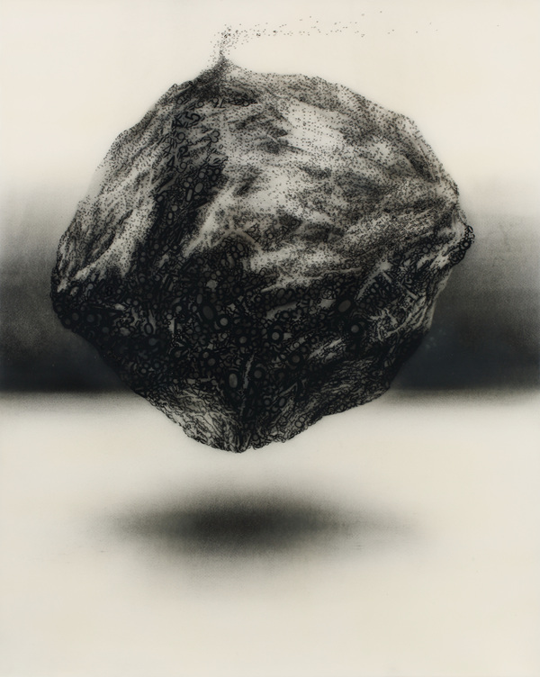 specise,種,혼합재료.2012년 93 x 73 cm.jpg