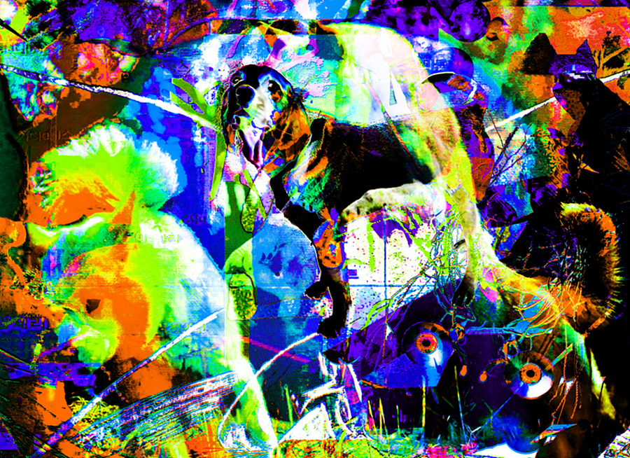 a2aa352a18d02ffc0cadde4c983b9df6_1663133964_3139.jpg